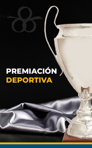 categorias pagina trofemarcas_Mesa de trabajo 1